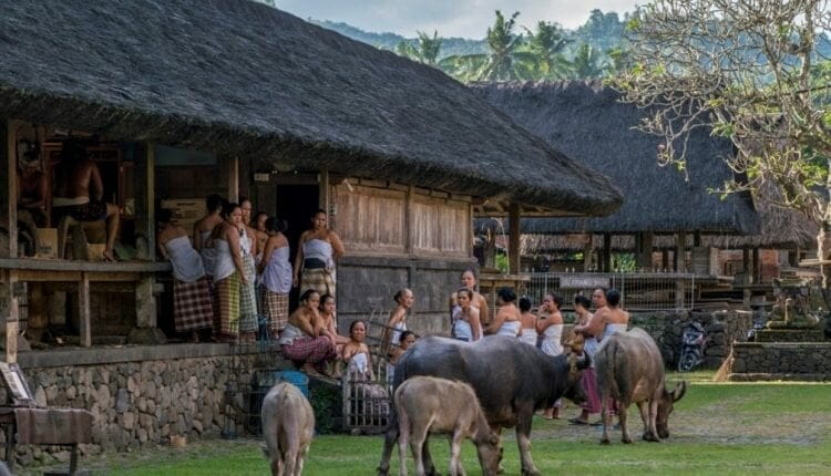 Visit Tenganan Bali Aga Village