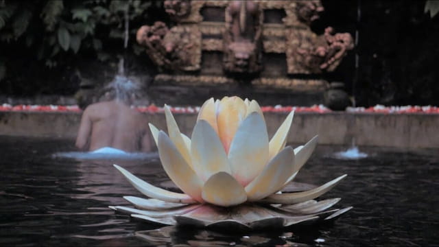 Purification Ritual at Pecampuhan Sala Water Temple