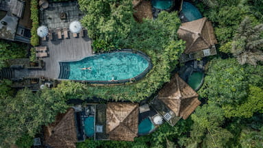 Where To Stay In Ubud: 10 Best Hotels With Views